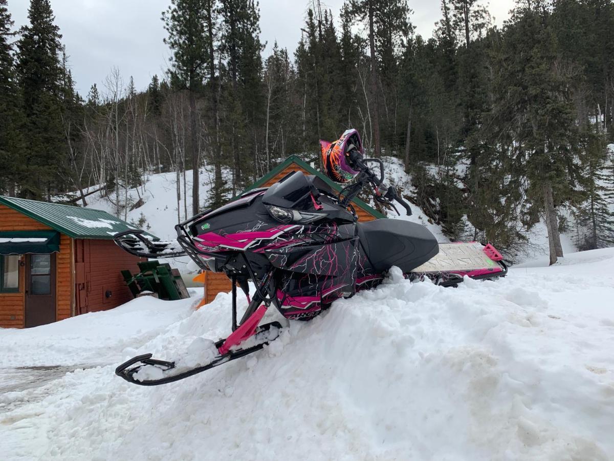 Whitetail Creek 2* Lead
